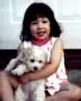 Rachel & CK Bichon Frise "Lacy"