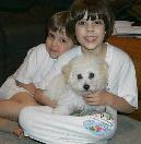 Kids & CK Bichon Frise "Casey"