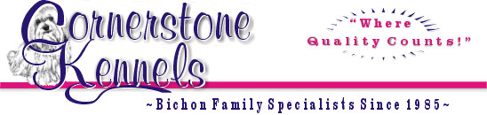 Cornerstone Kennels: Bichon Family Specialists Since 1985  "Where Quality Counts!"