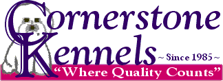 Cornerstone Kennels "Where Quality Counts!" Since 1985 Home of Beautiful Bichon Frise & Havanese!
